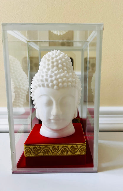 Buddha idol, with glass enclosure