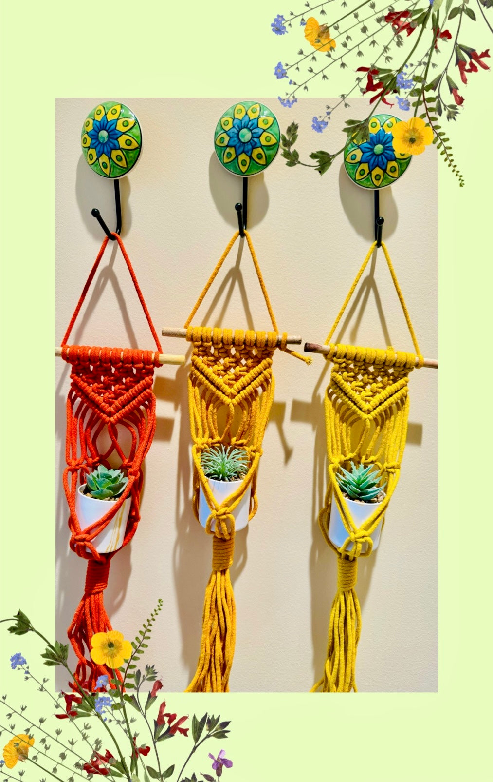 Macrame Plant Hangers